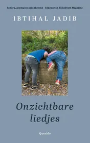 Omslag van Onzichtbare liedjes