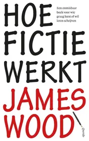 Omslag van Hoe fictie werkt