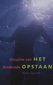 Omslag van Het opstaan