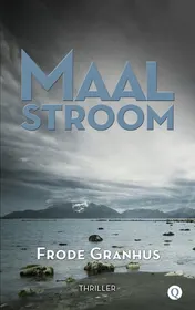 Omslag van De maalstroom