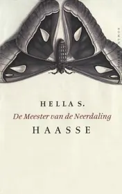 Omslag van De meester van de neerdaling