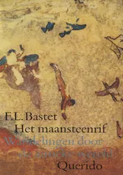 Omslag van Het maansteenrif