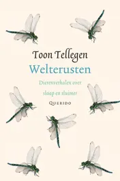 Omslag van Welterusten