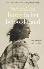 Omslag van In het beloofde land