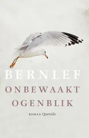 Omslag van Onbewaakt ogenblik