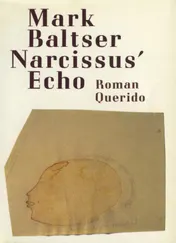 Omslag van Narcissus' echo