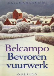 Omslag van Bevroren vuurwerk