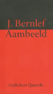 Omslag van Aambeeld