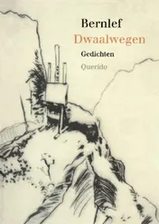 Omslag van Dwaalwegen