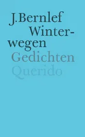 Omslag van Winterwegen