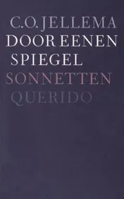 Omslag van Door eenen spiegel