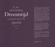Omslag van Droomtijd