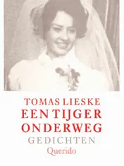 Omslag van Een tijger onderweg