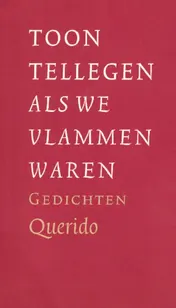 Omslag van Als we vlammen waren