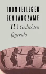Omslag van Een langzame val