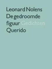 Omslag van De gedroomde figuur