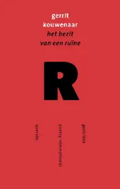 Omslag van Het bezit van een ruine