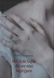 Omslag van Het is de liefde die we niet begrijpen