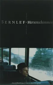 Omslag van Hersenschimmen