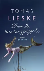 Omslag van Door de waterspiegel