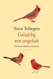 Omslag van Geluk bij een ongeluk
