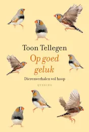 Omslag van Op goed geluk