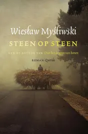 Omslag van Steen op steen