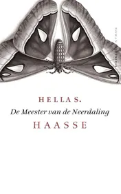 Omslag van De meester van de neerdaling