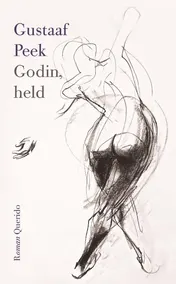Omslag van Godin, held
