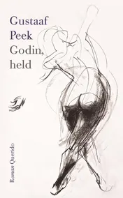 Omslag van Godin, held
