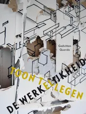 Omslag van De werkelijkheid