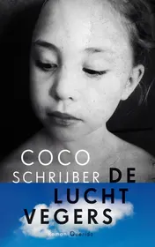 Omslag van De luchtvegers