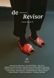 Omslag van Revisor 29