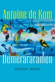 Omslag van Demerararamen