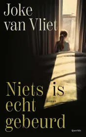 Omslag van Niets is echt gebeurd
