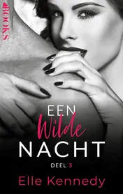 Omslag van Een wilde nacht