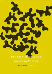 Omslag van Kleine lichamen