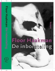Omslag van De inborsteling