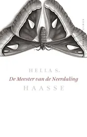 Omslag van De meester van de neerdaling