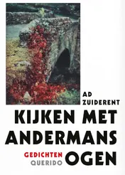 Omslag van Kijken met andermans ogen