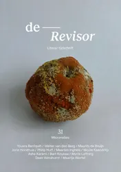Omslag van Revisor 31