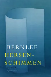 Omslag van Hersenschimmen