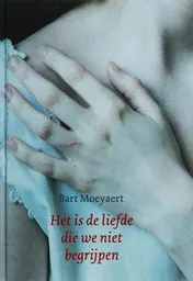 Omslag van Het is de liefde die we niet begrijpen