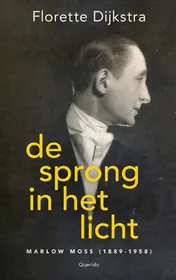 Omslag van De sprong in het licht