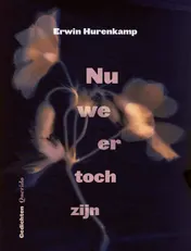 Omslag van Nu we er toch zijn