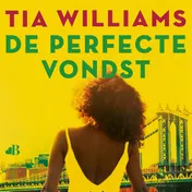 Omslag van De perfecte vondst