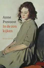 Omslag van In de zon kijken
