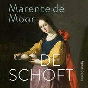 Omslag van De schoft