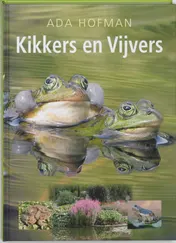 Omslag van Kikkers en vijvers