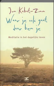Omslag van Waar je ook gaat, daar ben je